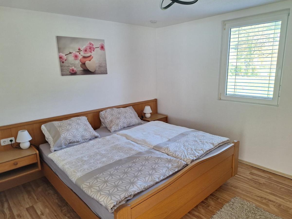 Apartment Rheintal Im Alpenvorland Batschuns Ngoại thất bức ảnh