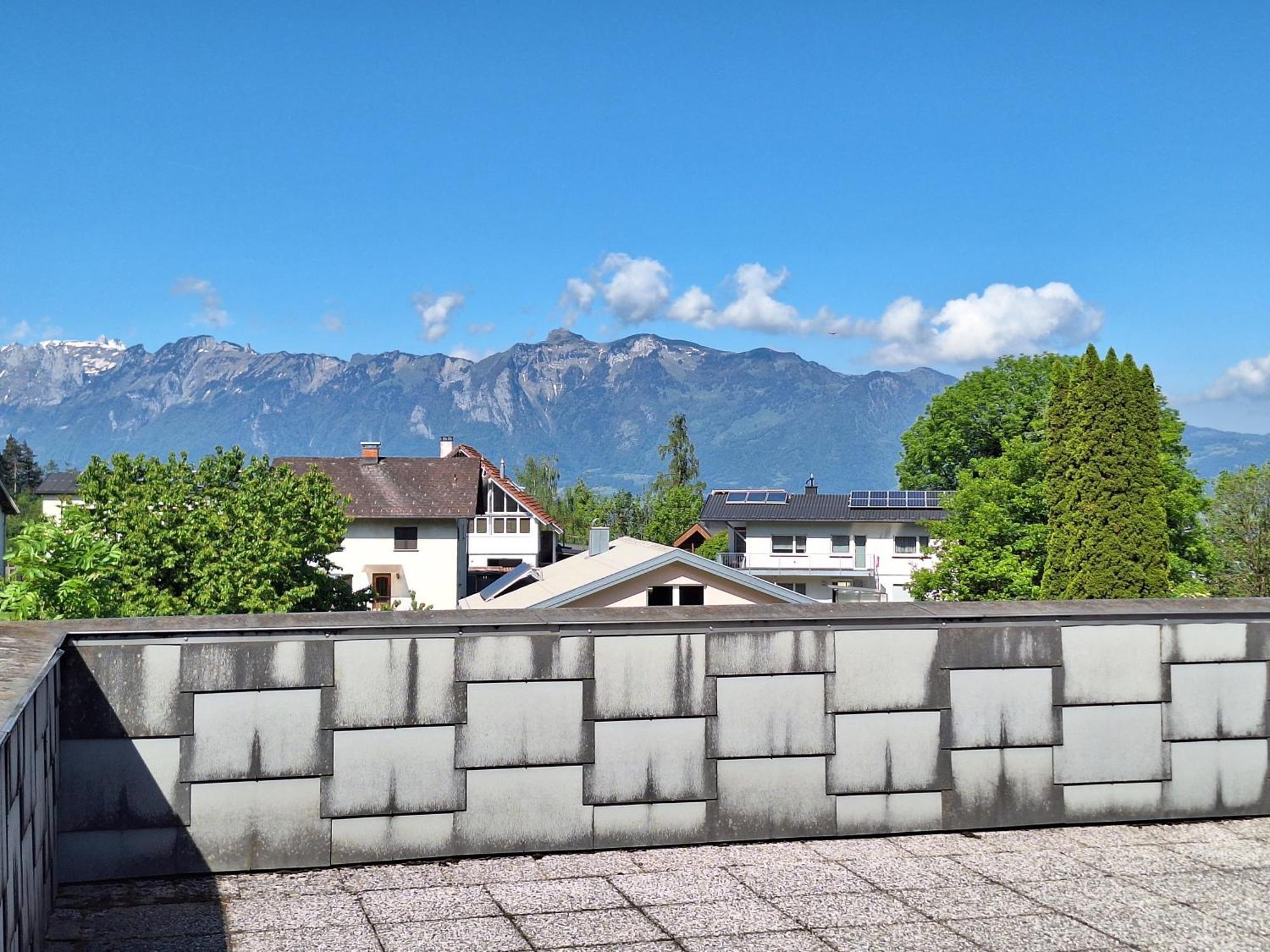 Apartment Rheintal Im Alpenvorland Batschuns Ngoại thất bức ảnh